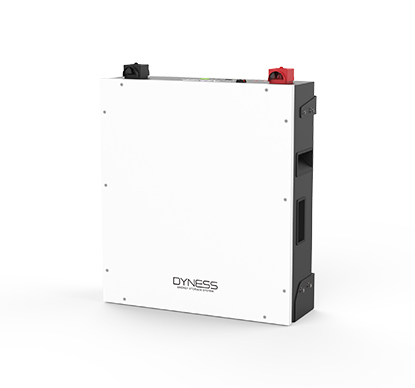 Dyness Lithium Battery